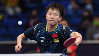 登录入口-林高远无缘四强 突尼斯赛国乒男单集体“掉链子”