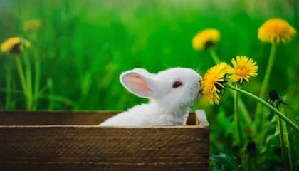 Kaiyun 开云体育官网-U23亚洲杯预选赛：中国队首战2比1险胜东帝汶队